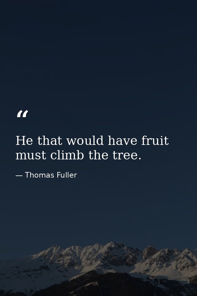 He that would have fruit must climb the tree. — Thomas Fuller
