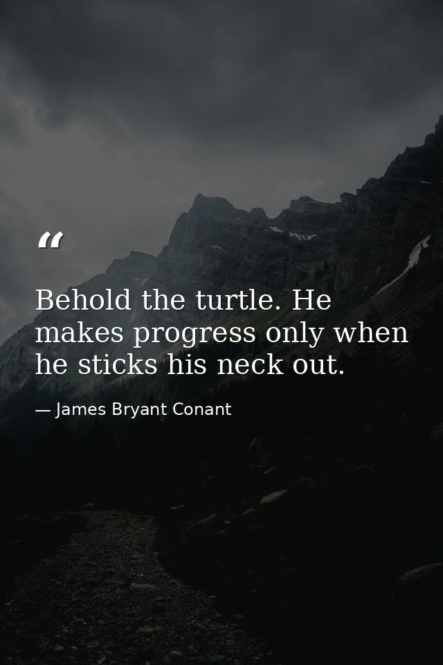 Behold the turtle. He makes progress only when he sticks his neck out. — James Bryant Conant
