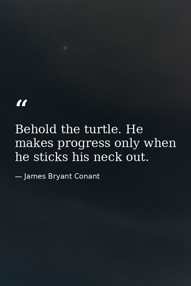 Behold the turtle. He makes progress only when he sticks his neck out. — James Bryant Conant