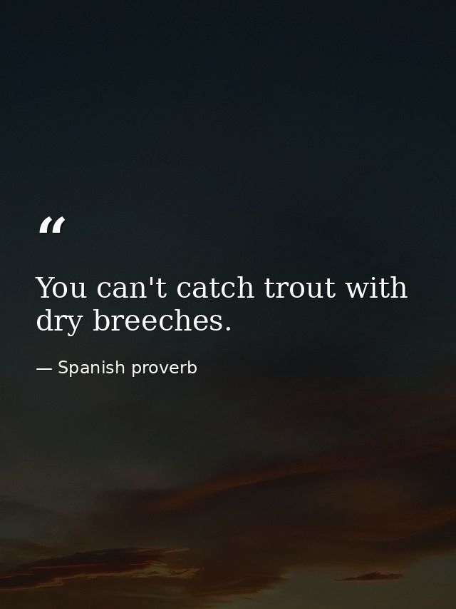 You can't catch trout with dry breeches. — Spanish proverb