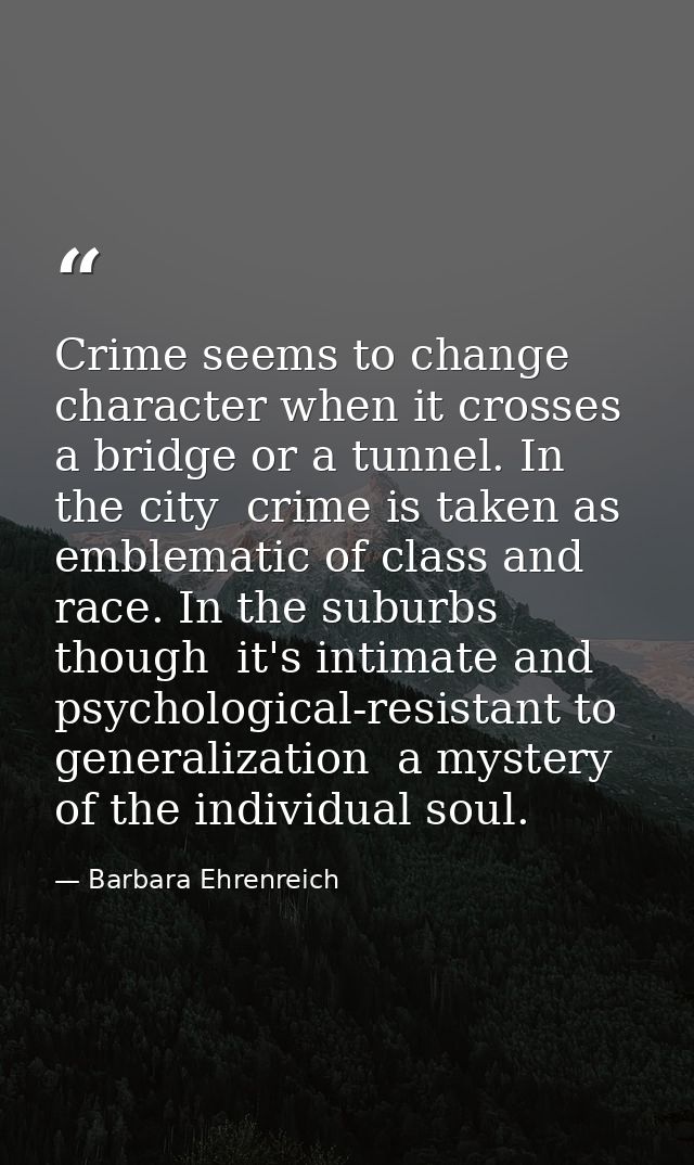 Crime seems to change character when it crosses a bridge or a tunnel. In the city  crime is taken as emblematic of class — Barbara Ehrenreich