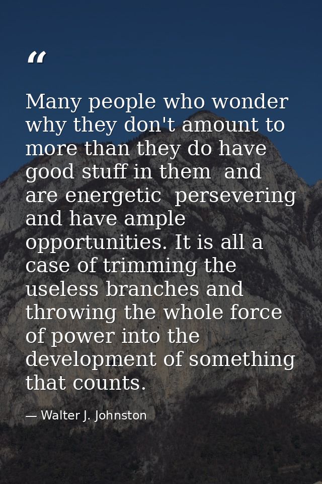 Many people who wonder why they don't amount to more than they do have good stuff in them  and are energetic  perseverin — Walter J. Johnston