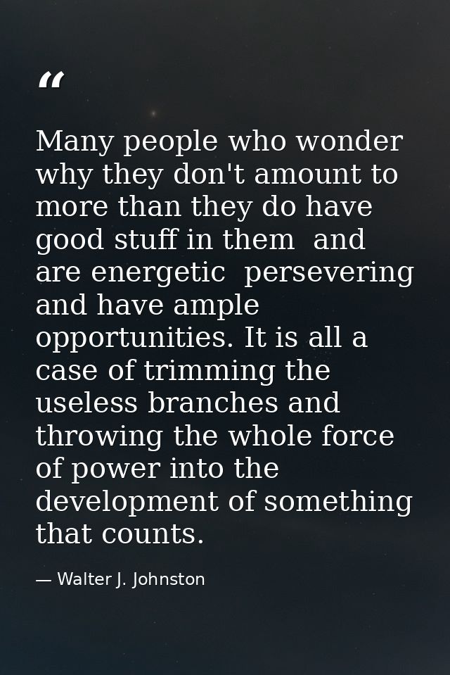 Many people who wonder why they don't amount to more than they do have good stuff in them  and are energetic  perseverin — Walter J. Johnston