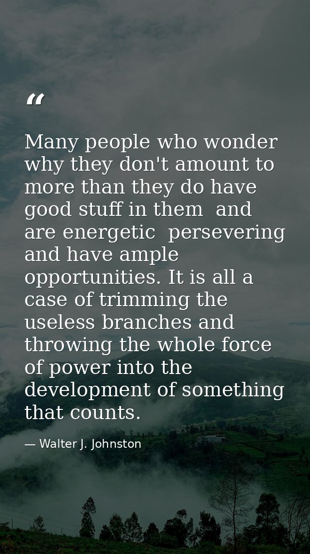 Many people who wonder why they don't amount to more than they do have good stuff in them  and are energetic  perseverin — Walter J. Johnston