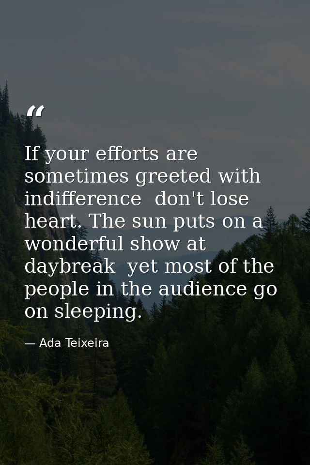 If your efforts are sometimes greeted with indifference  don't lose heart. The sun puts on a wonderful show at daybreak  — Ada Teixeira
