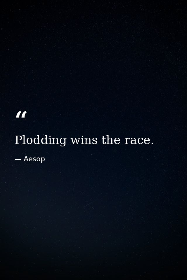 Plodding wins the race. — Aesop