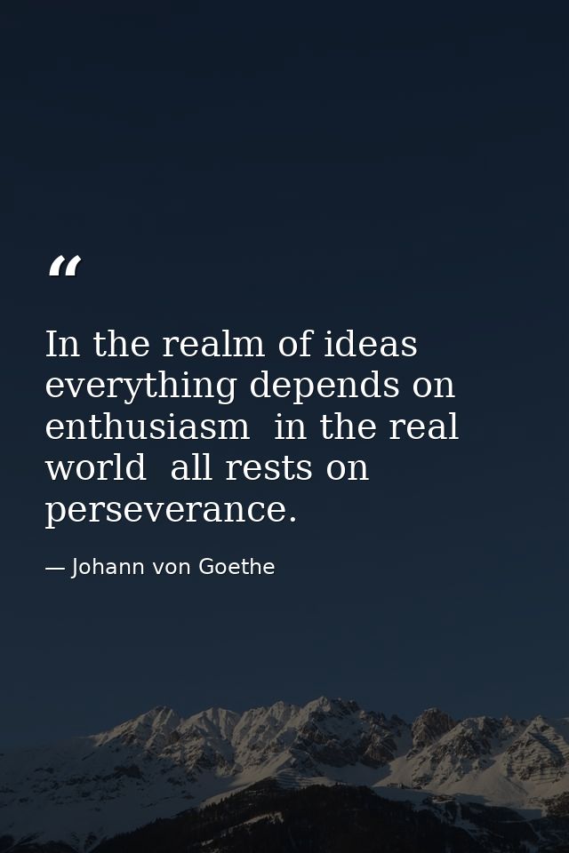 In the realm of ideas  everything depends on enthusiasm  in the real world  all rests on perseverance. — Johann von Goethe