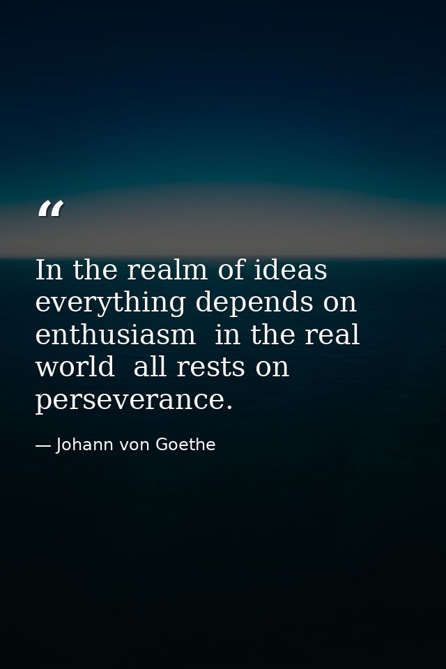 In the realm of ideas  everything depends on enthusiasm  in the real world  all rests on perseverance. — Johann von Goethe