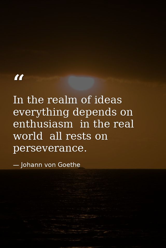 In the realm of ideas  everything depends on enthusiasm  in the real world  all rests on perseverance. — Johann von Goethe