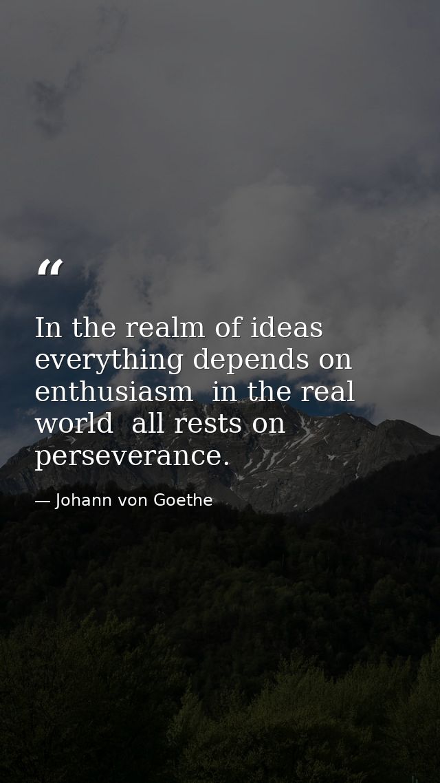 In the realm of ideas  everything depends on enthusiasm  in the real world  all rests on perseverance. — Johann von Goethe