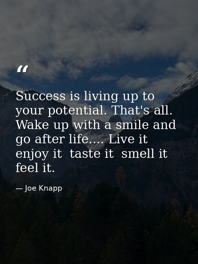 Success is living up to your potential. That's all. Wake up with a smile and go after life.... Live it  enjoy it  taste  — Joe Knapp