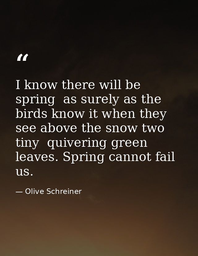 I know there will be spring  as surely as the birds know it when they see above the snow two tiny  quivering green leave — Olive Schreiner