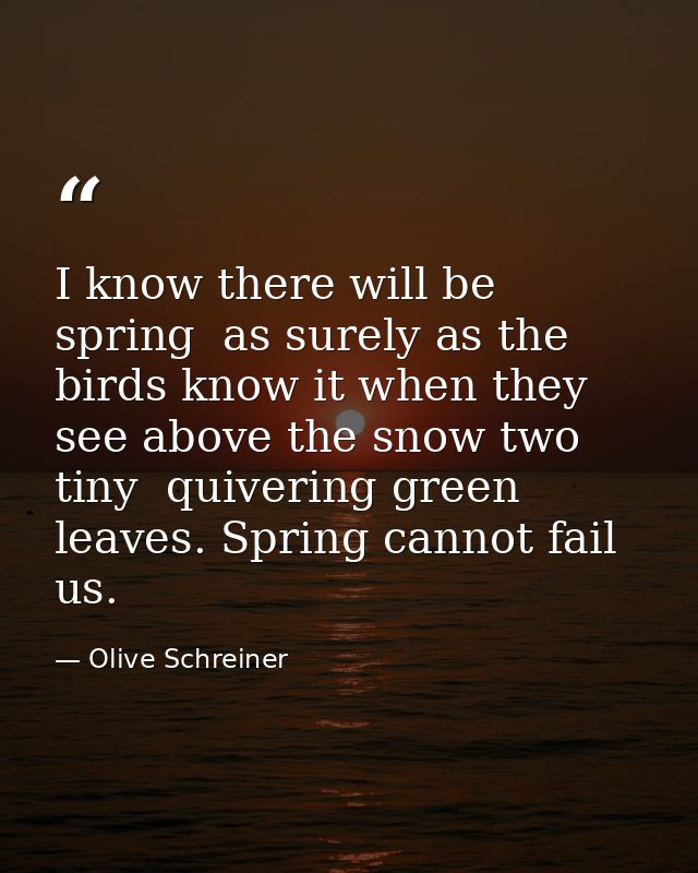 I know there will be spring  as surely as the birds know it when they see above the snow two tiny  quivering green leave — Olive Schreiner