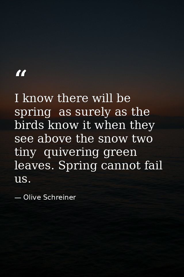 I know there will be spring  as surely as the birds know it when they see above the snow two tiny  quivering green leave — Olive Schreiner