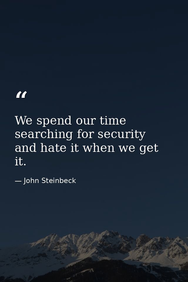 We spend our time searching for security  and hate it when we get it. — John Steinbeck