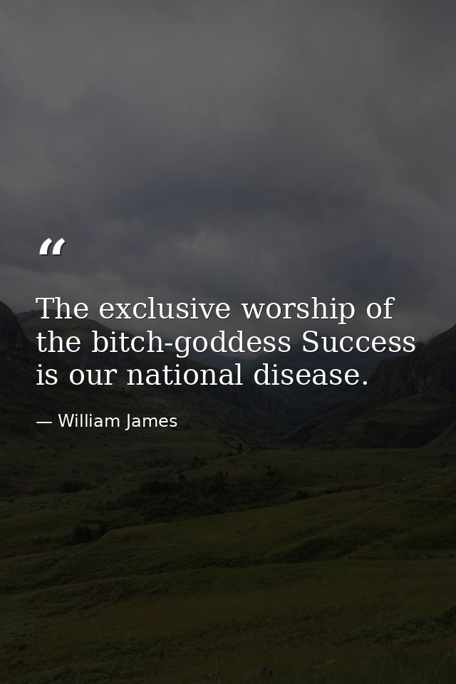 The exclusive worship of the bitch-goddess Success is our national disease. — William James