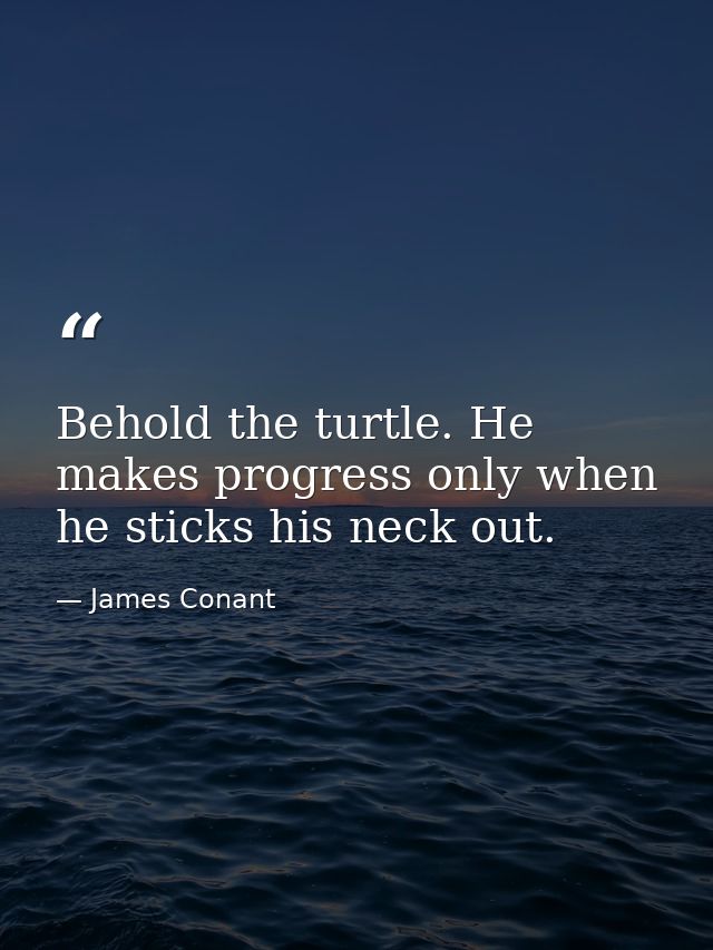 Behold the turtle. He makes progress only when he sticks his neck out. — James Conant