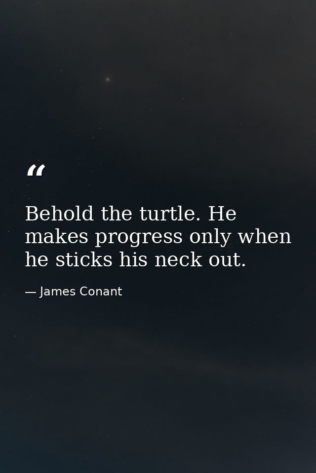 Behold the turtle. He makes progress only when he sticks his neck out. — James Conant