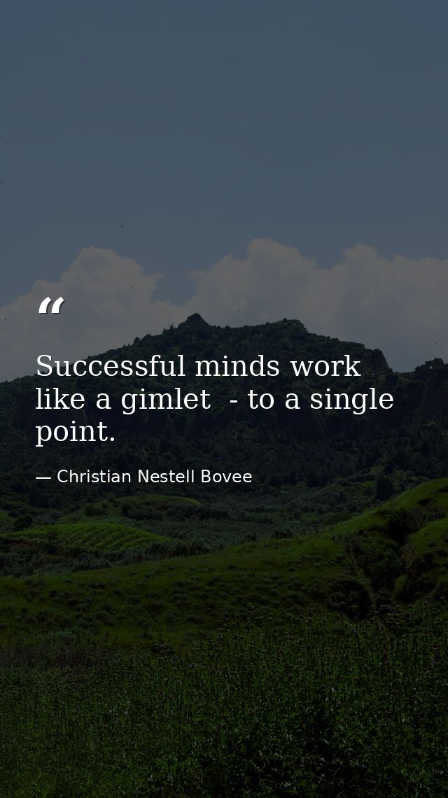 Successful minds work like a gimlet  - to a single point. — Christian Nestell Bovee