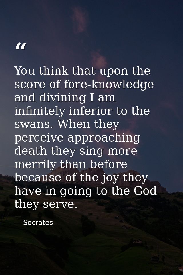 You think that upon the score of fore-knowledge and divining I am infinitely inferior to the swans. When they perceive a — Socrates