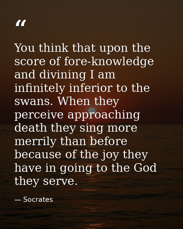 You think that upon the score of fore-knowledge and divining I am infinitely inferior to the swans. When they perceive a — Socrates