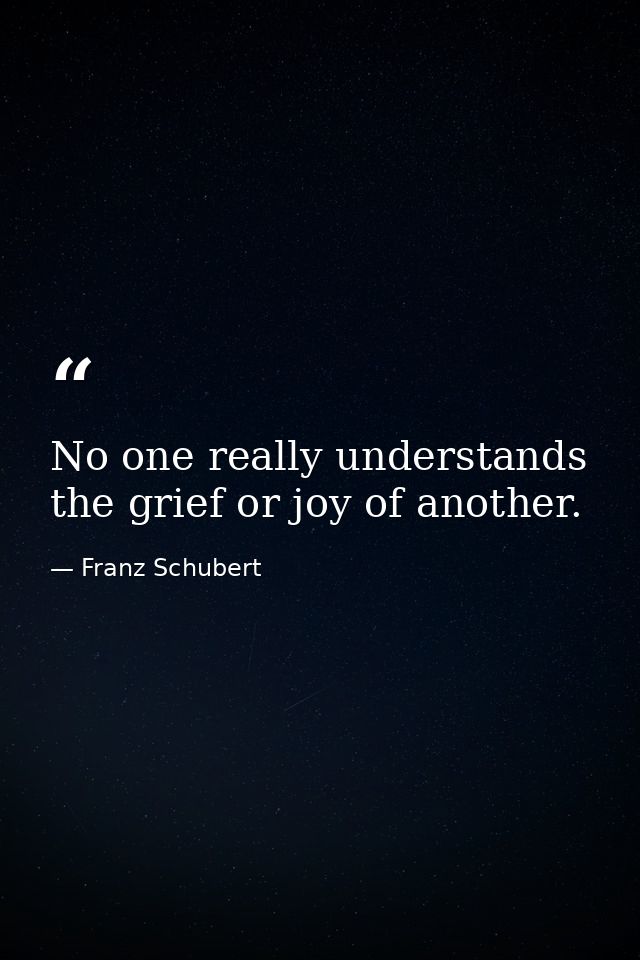 No one really understands the grief or joy of another. — Franz Schubert