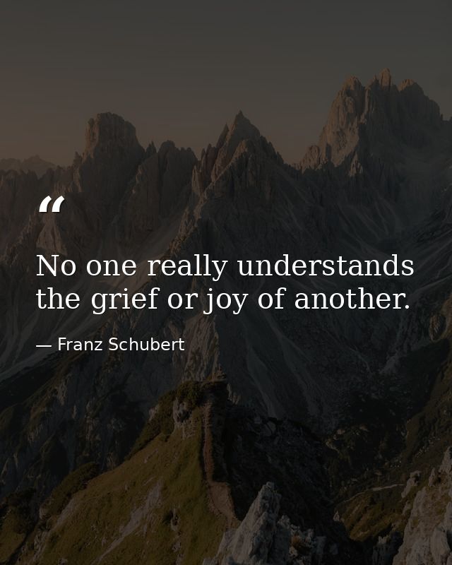 No one really understands the grief or joy of another. — Franz Schubert