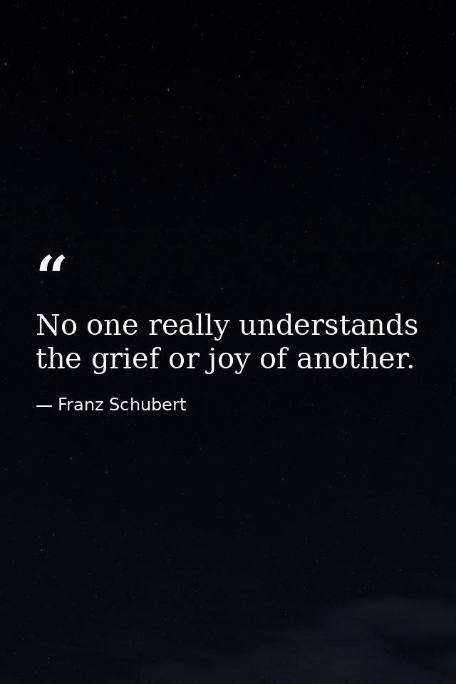 No one really understands the grief or joy of another. — Franz Schubert