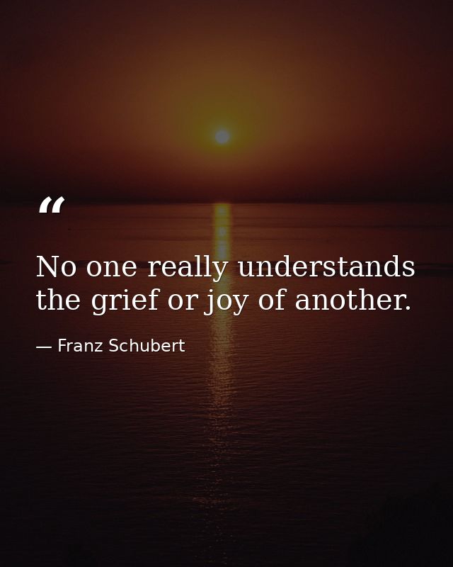 No one really understands the grief or joy of another. — Franz Schubert