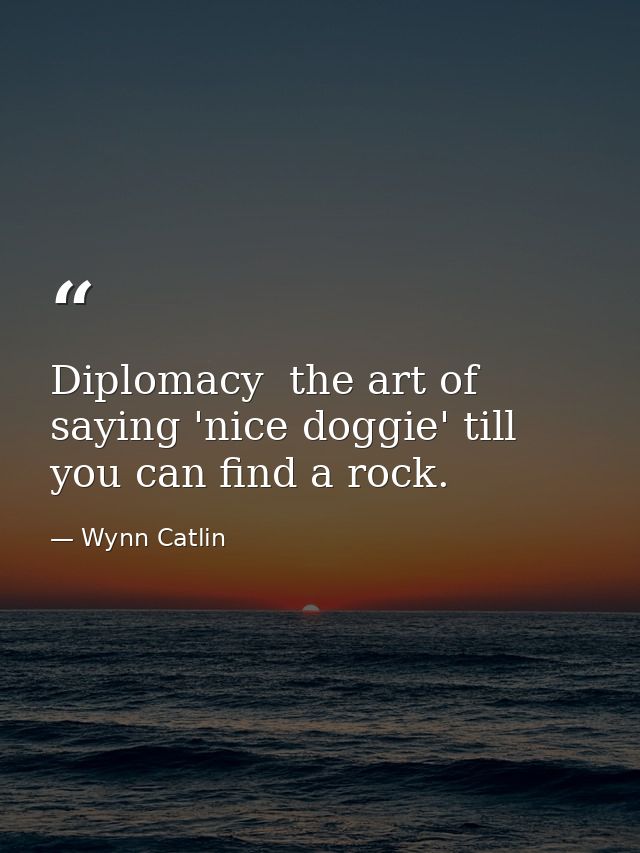 Diplomacy  the art of saying 'nice doggie' till you can find a rock. — Wynn Catlin