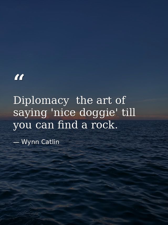 Diplomacy  the art of saying 'nice doggie' till you can find a rock. — Wynn Catlin