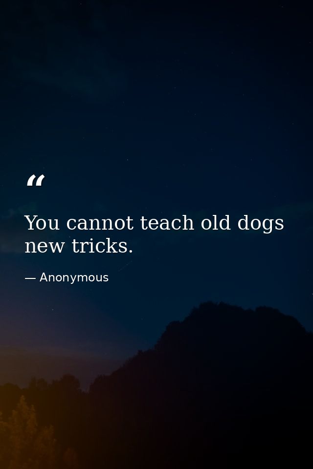 You cannot teach old dogs new tricks. — Anonymous