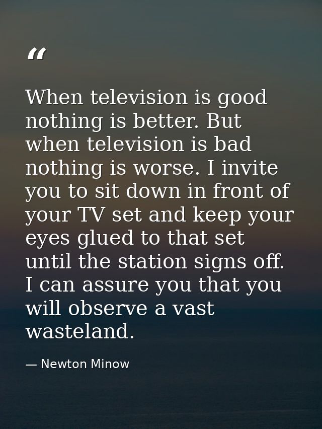 When television is good  nothing is better. But when television is bad  nothing is worse. I invite you to sit down in fr — Newton Minow