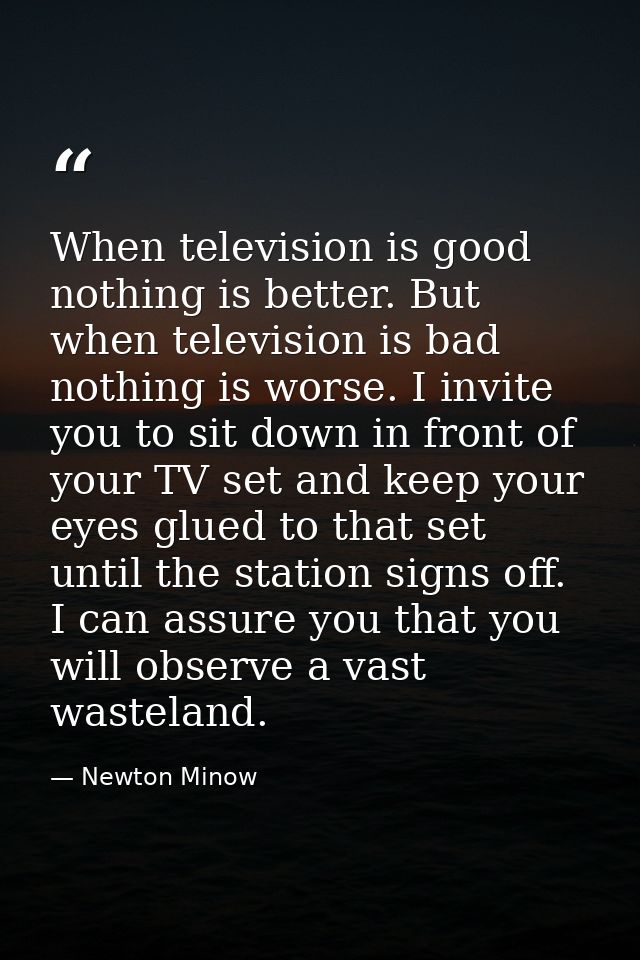 When television is good  nothing is better. But when television is bad  nothing is worse. I invite you to sit down in fr — Newton Minow