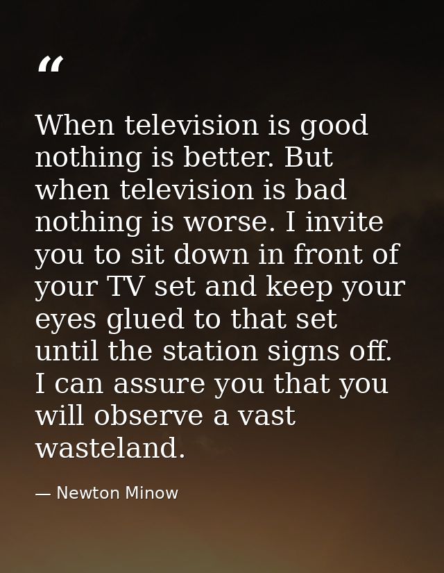 When television is good  nothing is better. But when television is bad  nothing is worse. I invite you to sit down in fr — Newton Minow