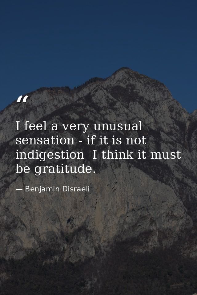 I feel a very unusual sensation - if it is not indigestion  I think it must be gratitude. — Benjamin Disraeli