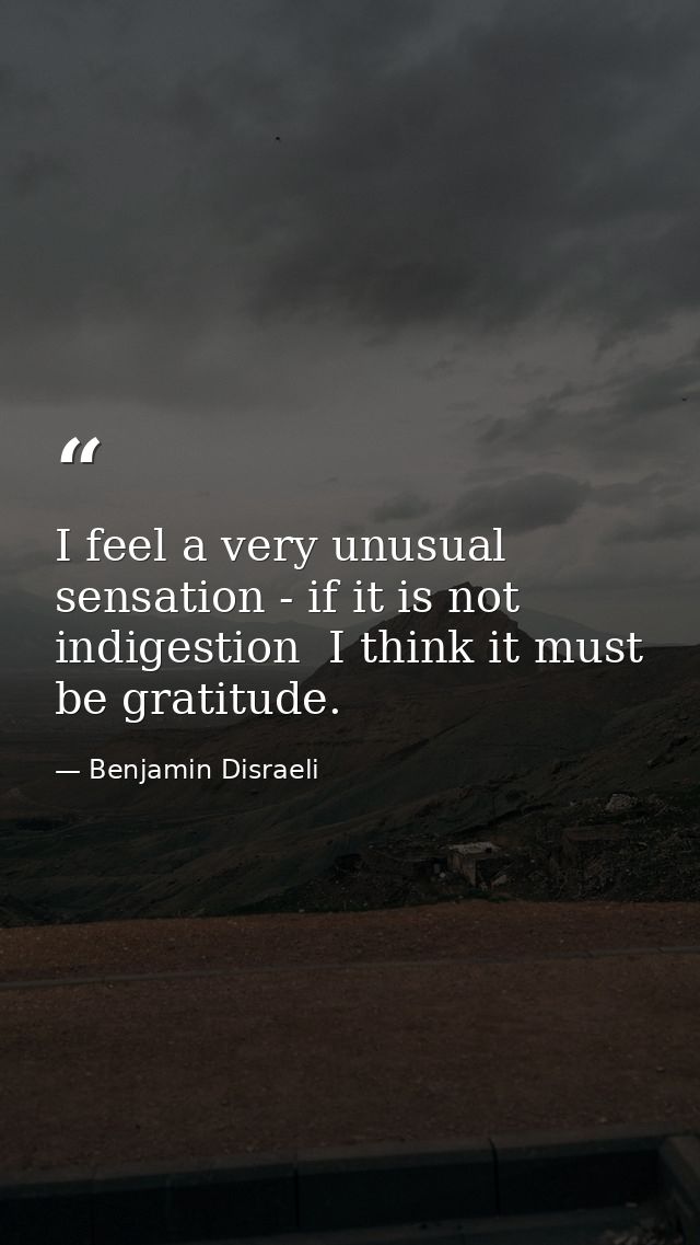 I feel a very unusual sensation - if it is not indigestion  I think it must be gratitude. — Benjamin Disraeli