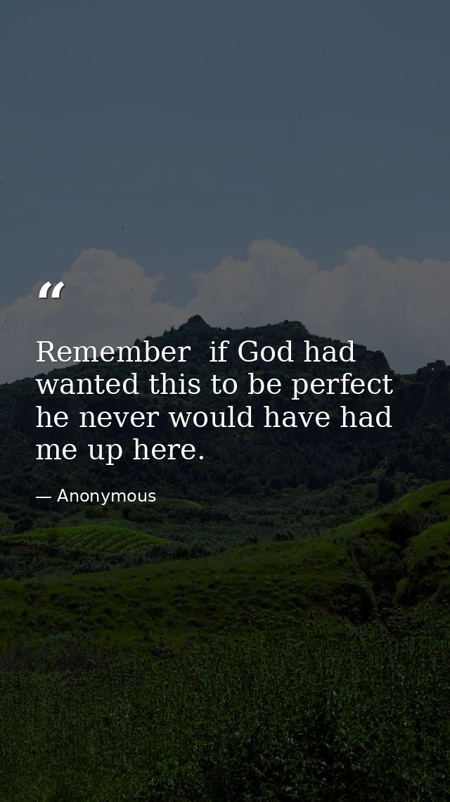 Remember  if God had wanted this to be perfect  he never would have had me up here. — Anonymous