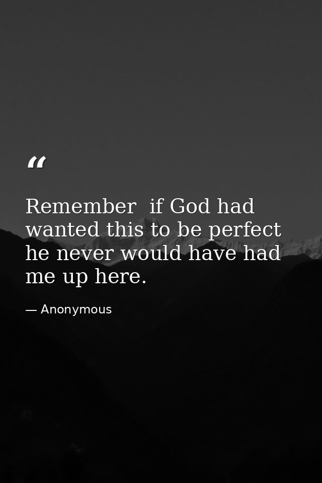 Remember  if God had wanted this to be perfect  he never would have had me up here. — Anonymous