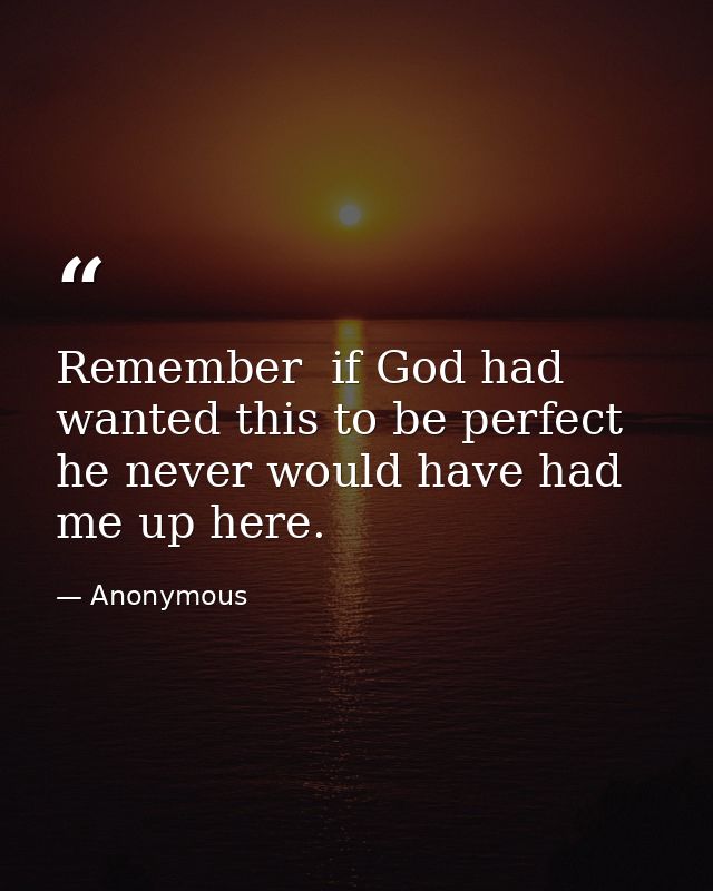 Remember  if God had wanted this to be perfect  he never would have had me up here. — Anonymous