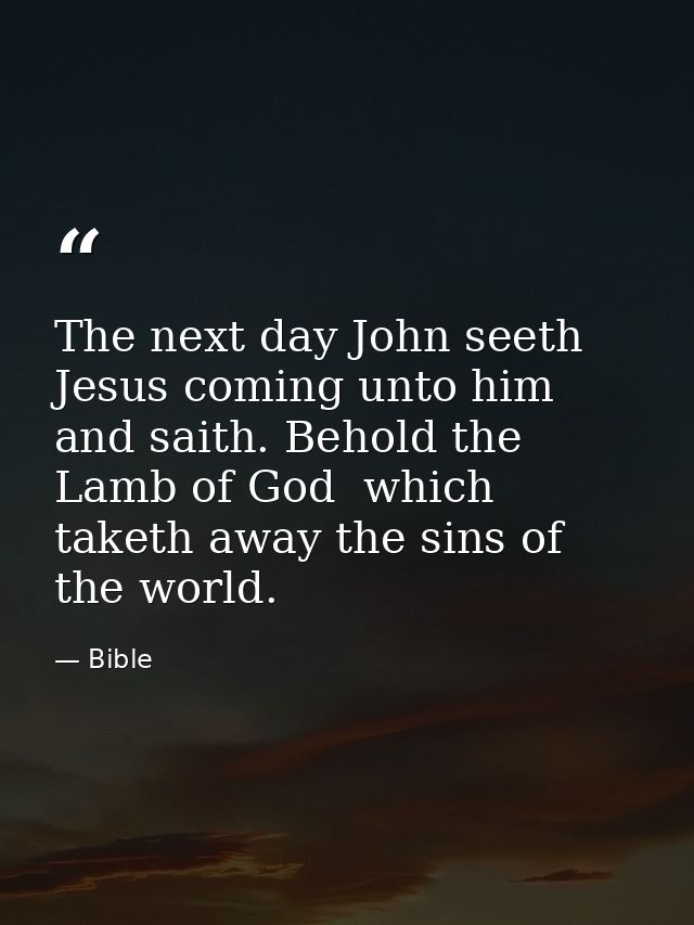 The next day John seeth Jesus coming unto him and saith. Behold the Lamb of God  which taketh away the sins of the world — Bible