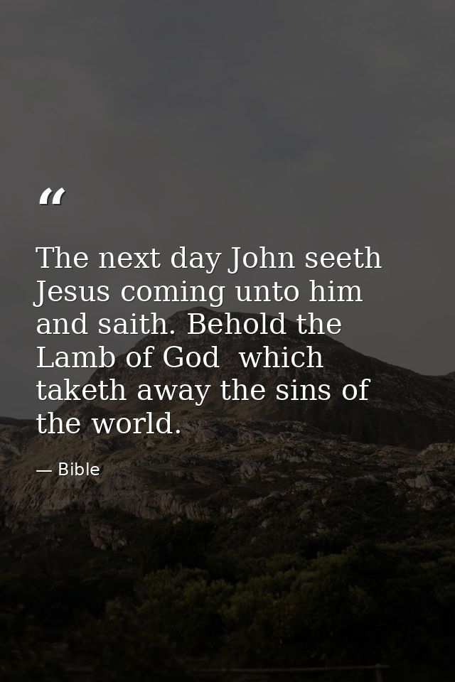 The next day John seeth Jesus coming unto him and saith. Behold the Lamb of God  which taketh away the sins of the world — Bible