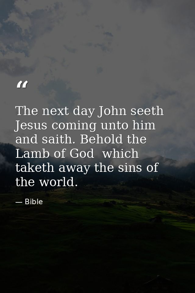 The next day John seeth Jesus coming unto him and saith. Behold the Lamb of God  which taketh away the sins of the world — Bible