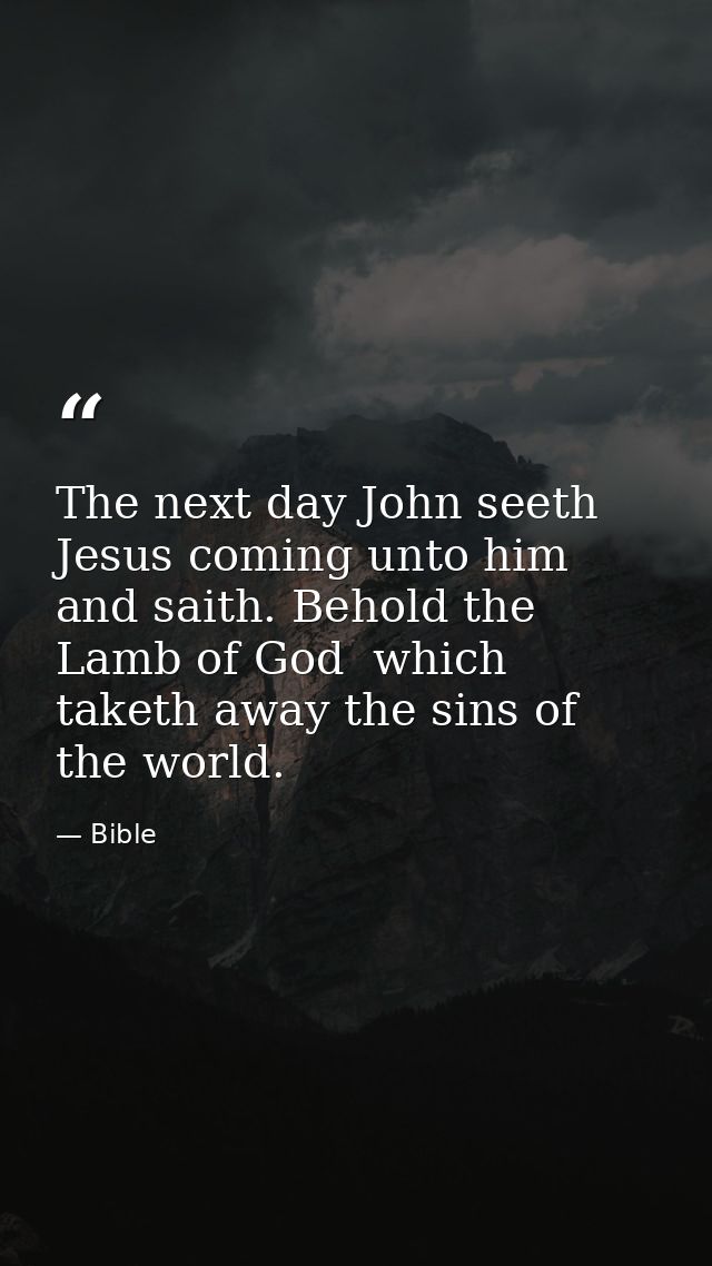 The next day John seeth Jesus coming unto him and saith. Behold the Lamb of God  which taketh away the sins of the world — Bible