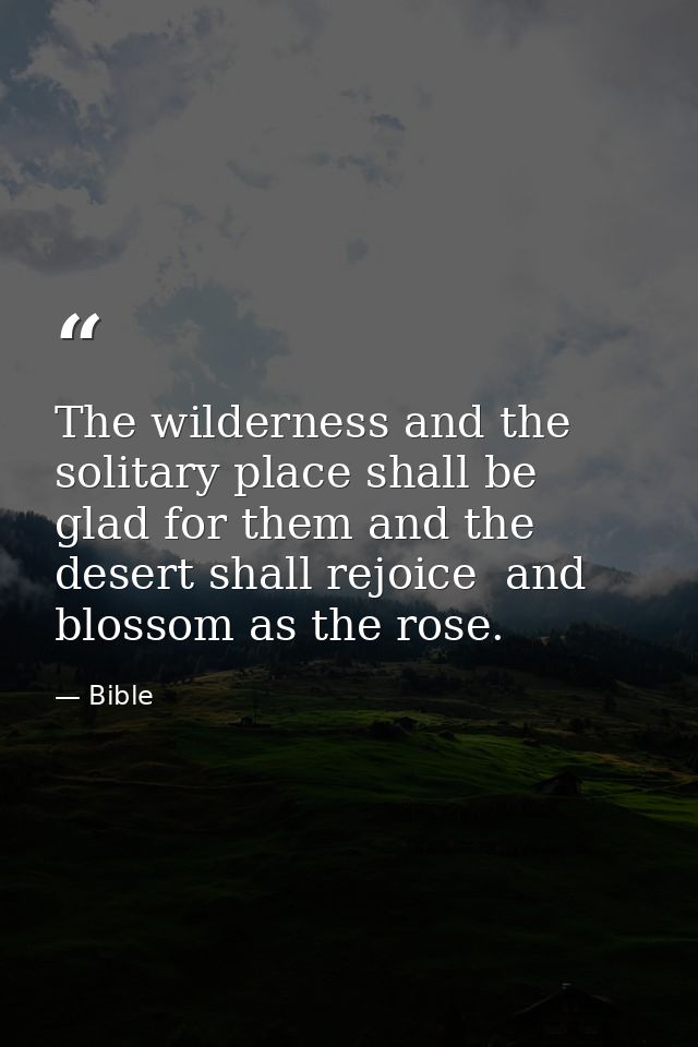 The wilderness and the solitary place shall be glad for them and the desert shall rejoice  and blossom as the rose. — Bible