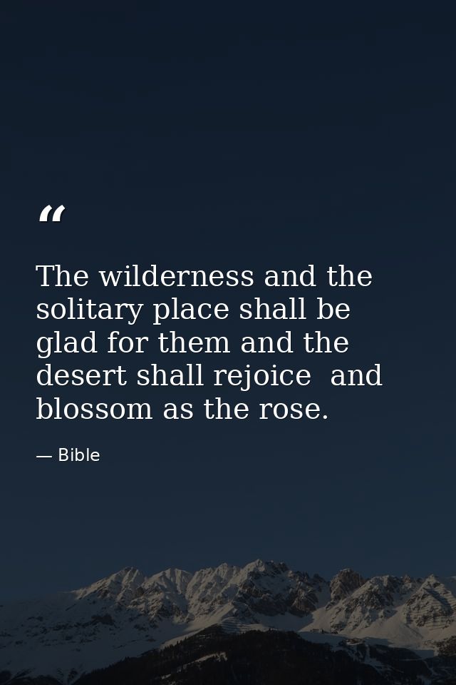 The wilderness and the solitary place shall be glad for them and the desert shall rejoice  and blossom as the rose. — Bible