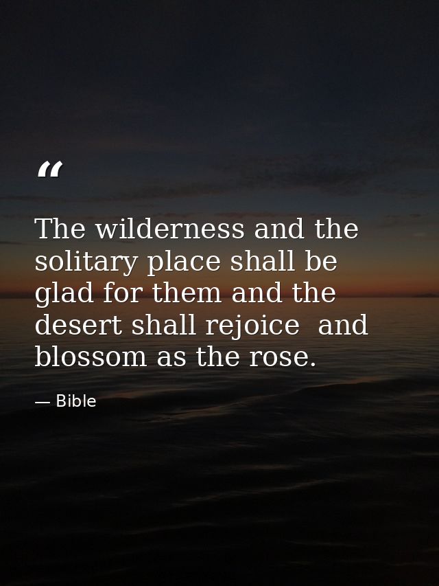 The wilderness and the solitary place shall be glad for them and the desert shall rejoice  and blossom as the rose. — Bible