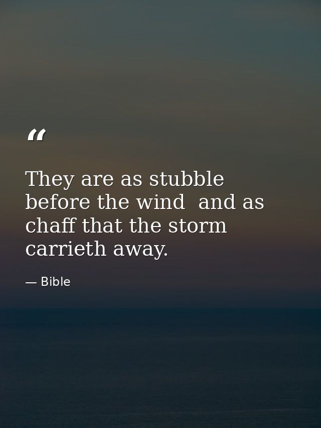 They are as stubble before the wind  and as chaff that the storm carrieth away. — Bible