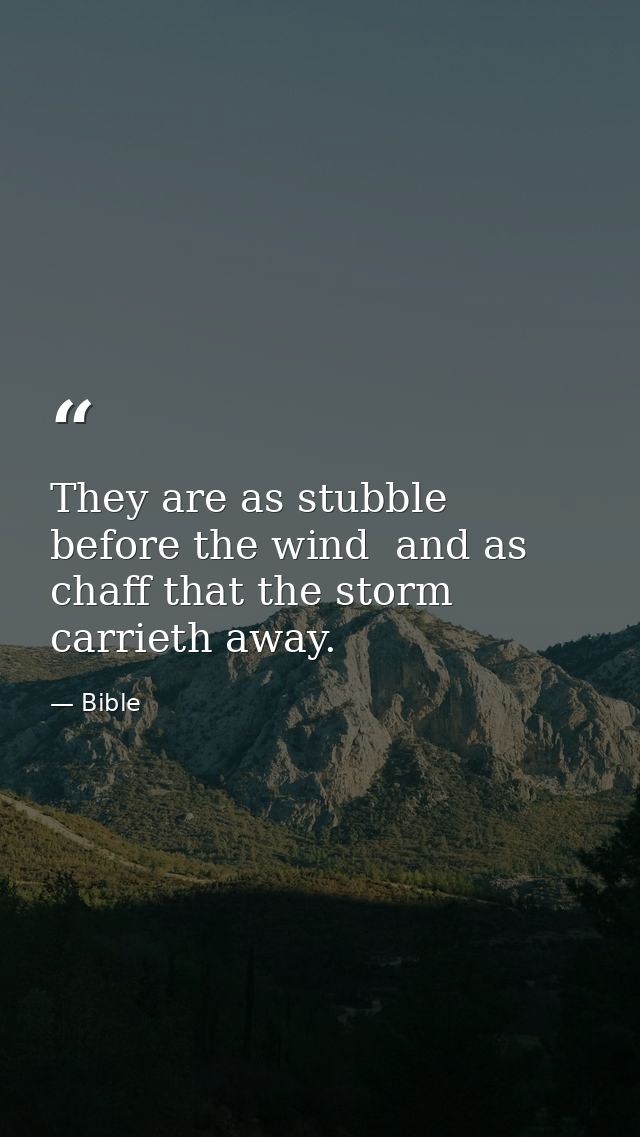 They are as stubble before the wind  and as chaff that the storm carrieth away. — Bible