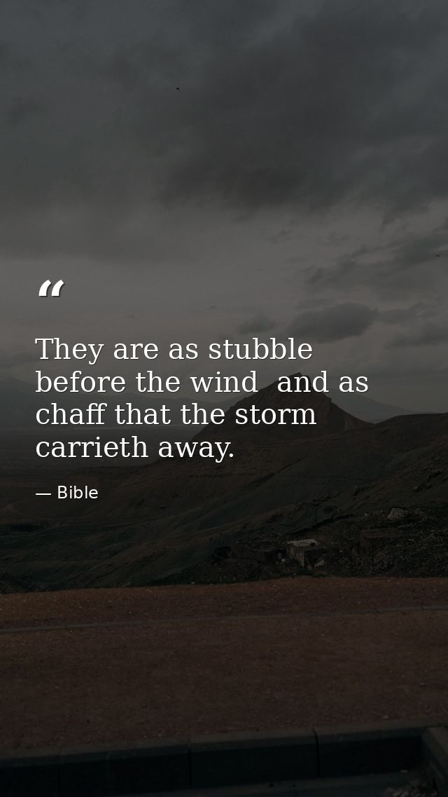 They are as stubble before the wind  and as chaff that the storm carrieth away. — Bible
